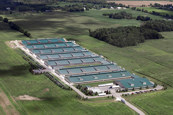 Nanchino Girello Group Co.,Ltd