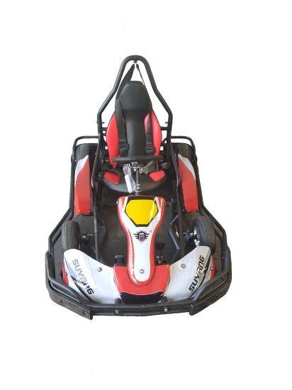 Suyang nuovo design pedale go kart famiglia 2 posti go kart vendita calda