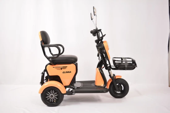 Popolare nuovo triciclo elettrico di alta qualità 48V 350W