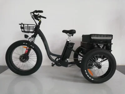 La fabbrica fornisce una bici elettrica a tre ruote da 500 W, un triciclo elettrico Shimano a 7 velocità per adulti con pneumatici grossi